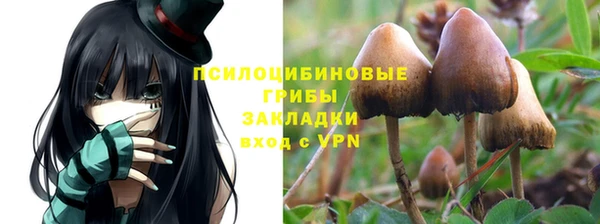 кокаин колумбия Белокуриха