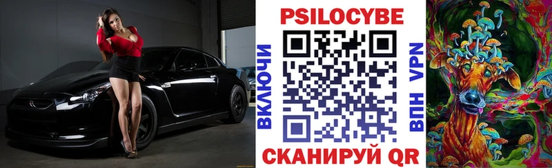 Галлюциногенные грибы мицелий  продажа наркотиков  Красный Холм 